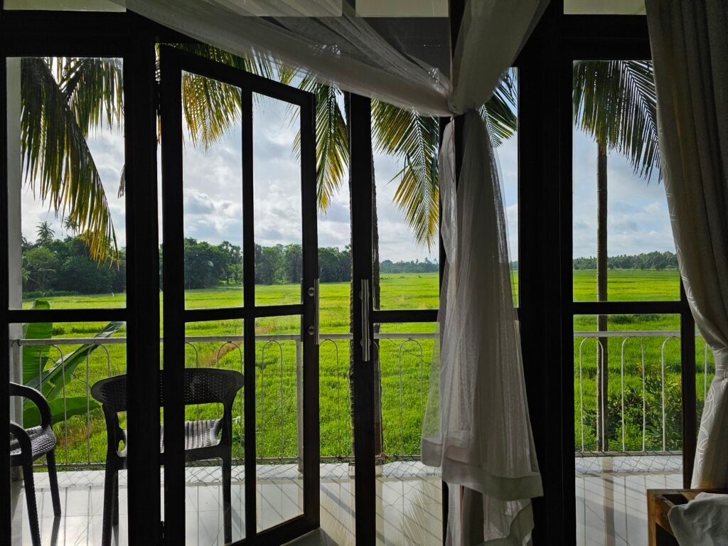 20240702_075232 Beste Unterkunft in Anuradhapura, Reisfelder